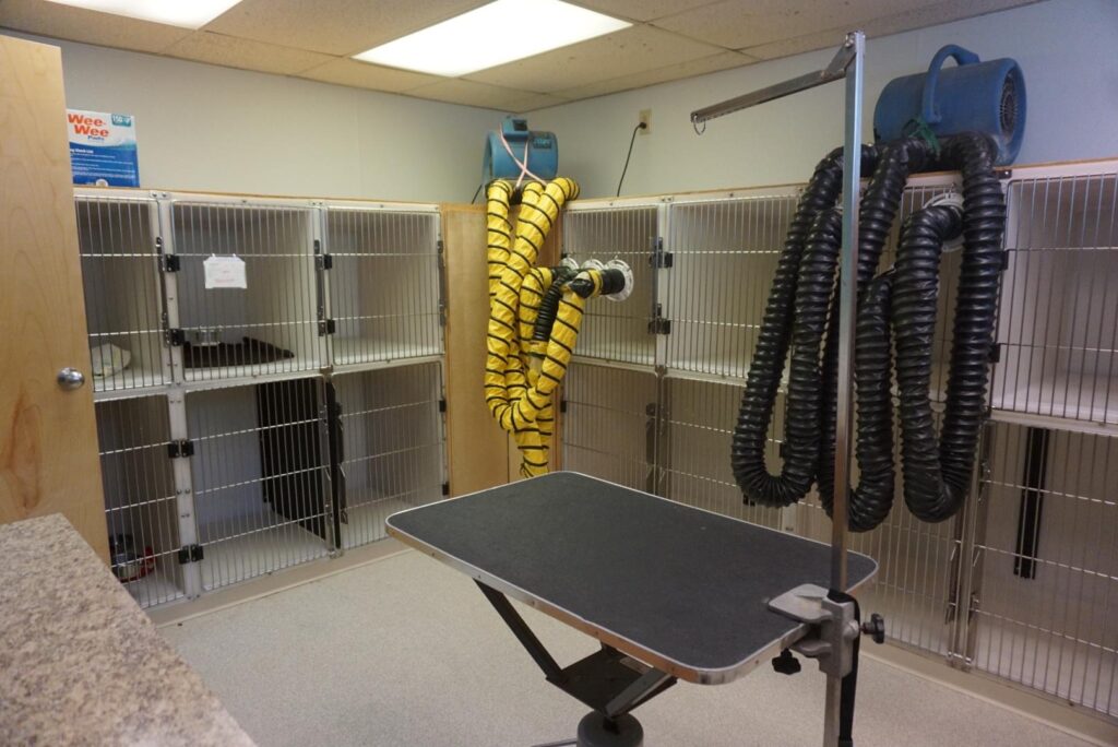 Photos Mansfield Pet Boarding