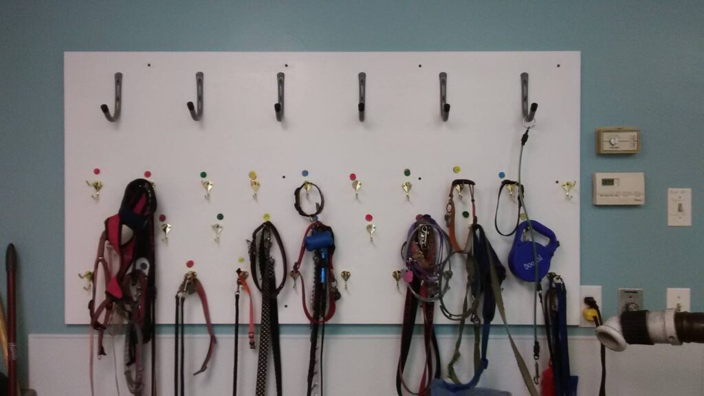 Photos Mansfield Pet Boarding