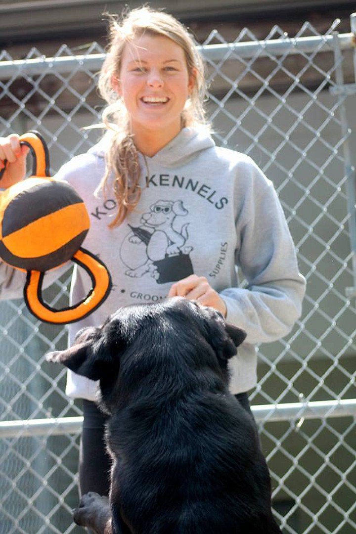 Pet Boarding Photo Gallery Kozy Kennels in Mansfield, MA